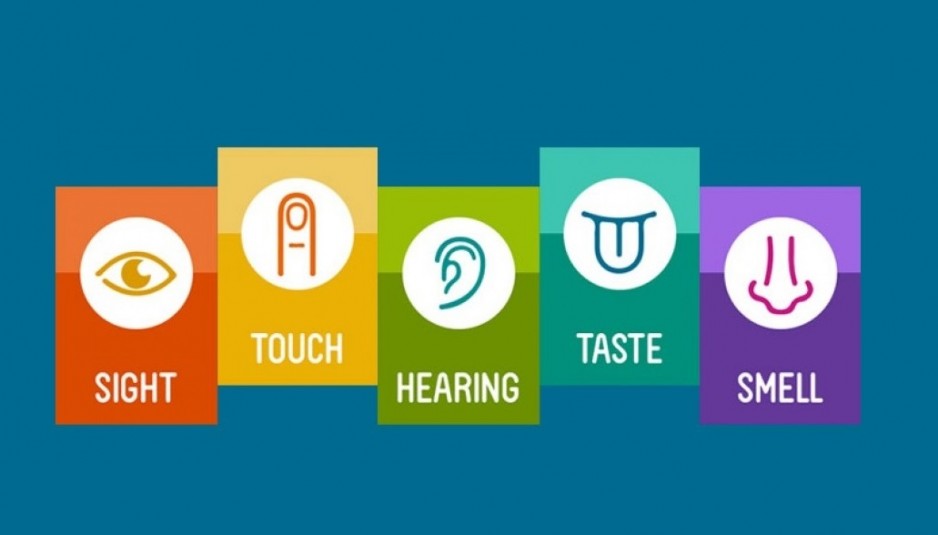 TechDogs-"The Five Senses In Sensory Marketing"-"Icons representing the five senses: sight, touch, hearing, taste, smell."