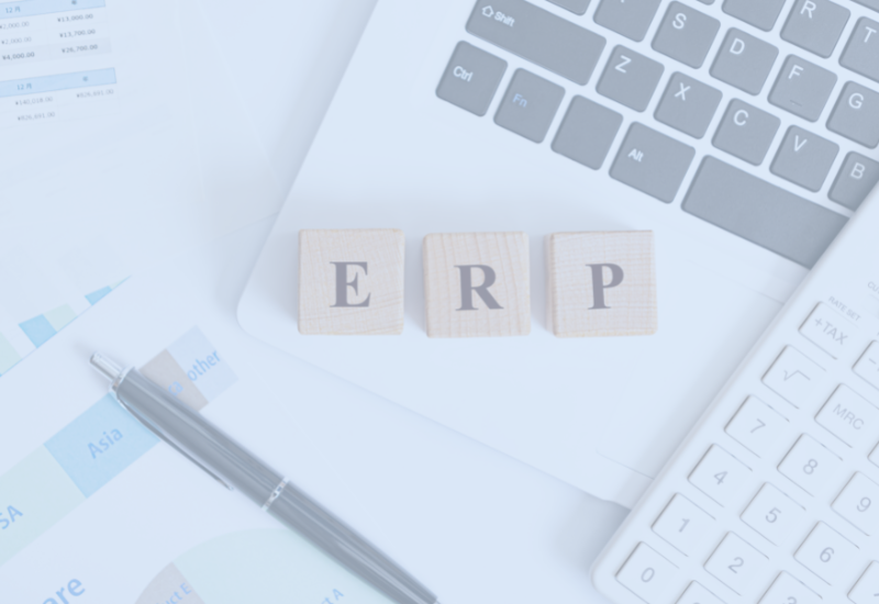 What is included in the ERP system?