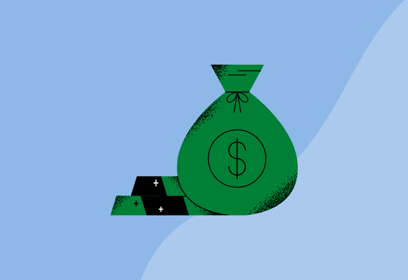 What is the profit and loss statement for?