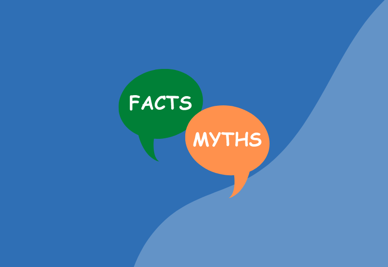 ERP system implementation – facts and myths