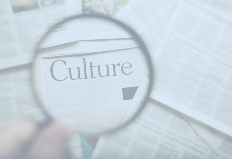 ERP system in a cultural institution – is it worth it and why?