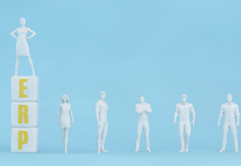 What to use ERP for?