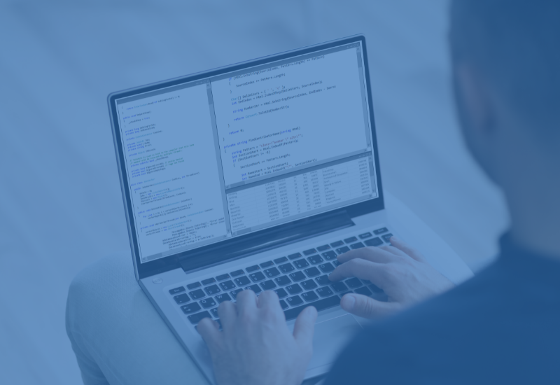 ERP systems in accounting, rental, service and software house