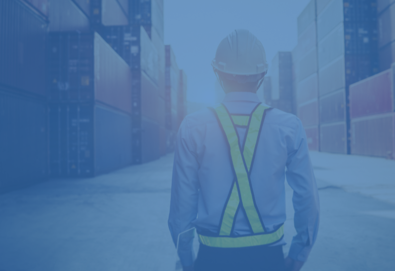 ERP system in logistics