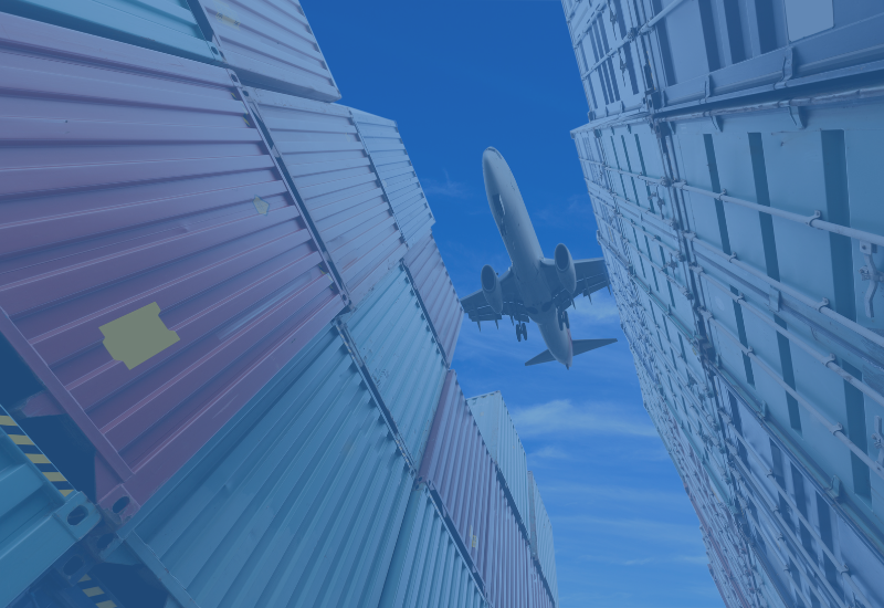 How to choose the perfect ERP system in enterprise logistics?