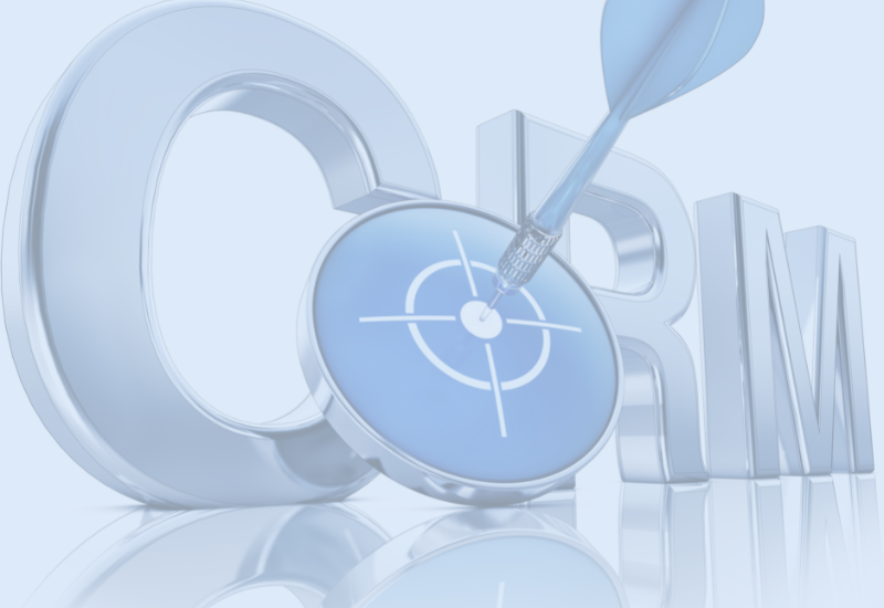 A sea of CRM systems capabilities