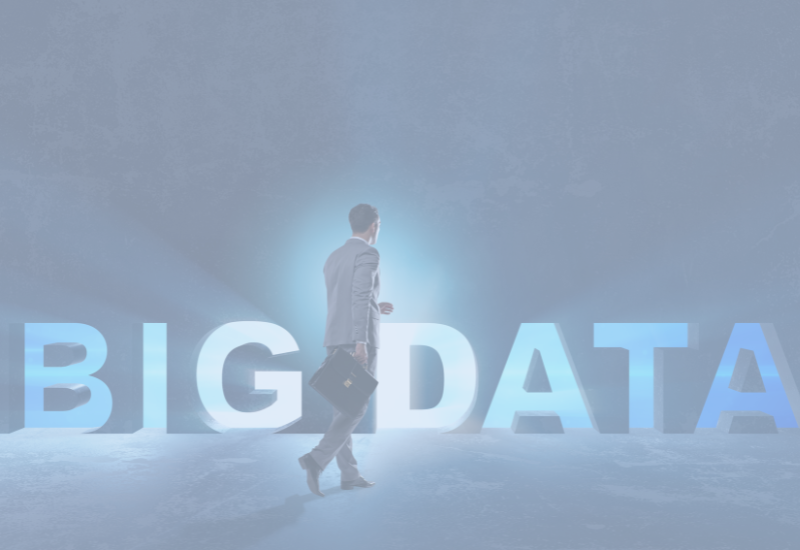 Who is a Big Data Analyst?