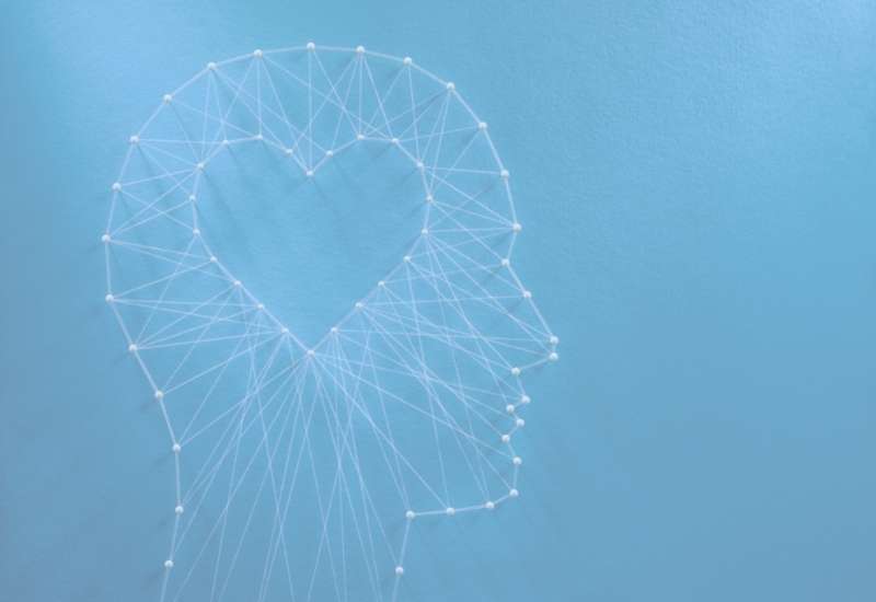 Emotional intelligence and project management
