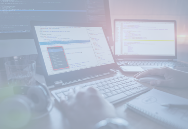 Company website – what should it include?