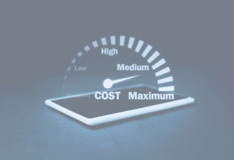 The costs of ineffectiveness of the ERP system
