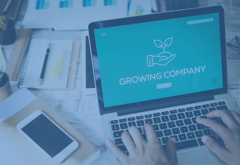 ERP system: How to improve management in a rapidly growing company?