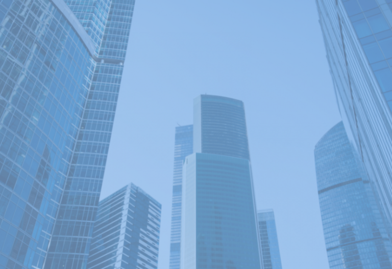 ERP for a large business